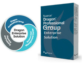Dragon Professional Group 15.61 - Level A (5 - 25 copies) 