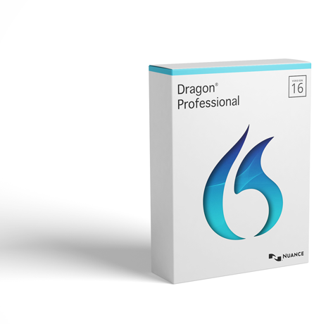 Dragon Professional 16.1 Perpetual 